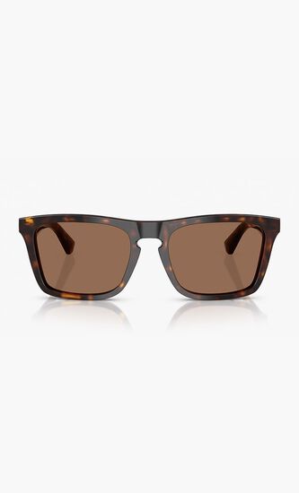 Dark Havana Sunglasses