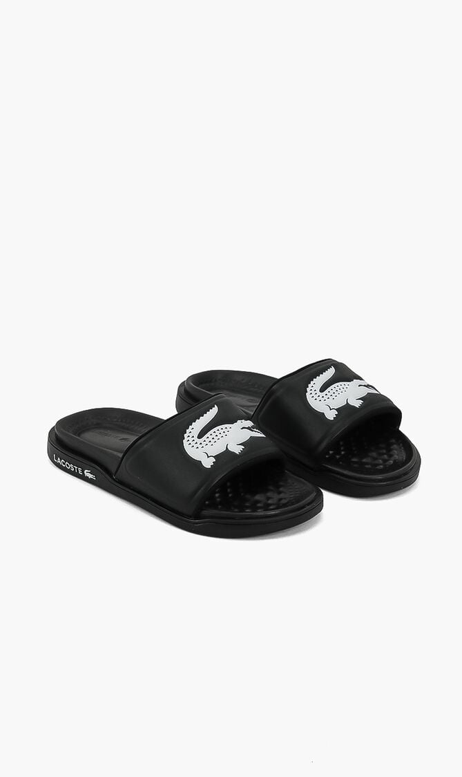 Classic Logo Slides Classic Logo Slides