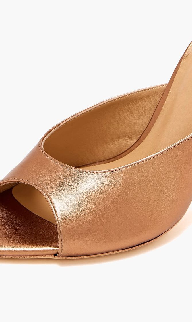 Dreamer Mules