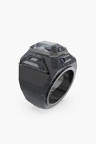 SJC CHROMA RING GRAP/RUS 58MM