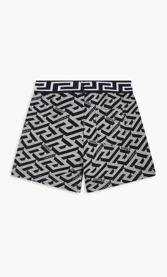 BB SHORT AO JERSEY GRECA