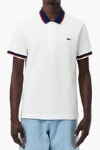 Regular Fit Contrast Collar Polo Shirt