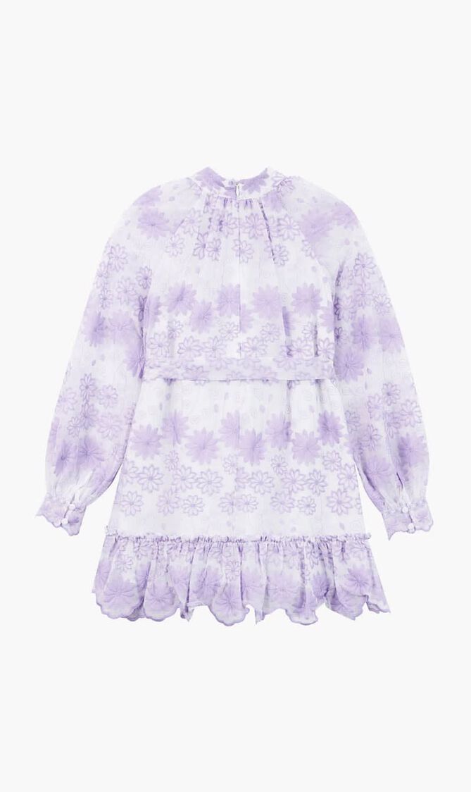 Lena Embroidered Mini Dress