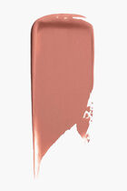 Hd Lip Tint Matte 21