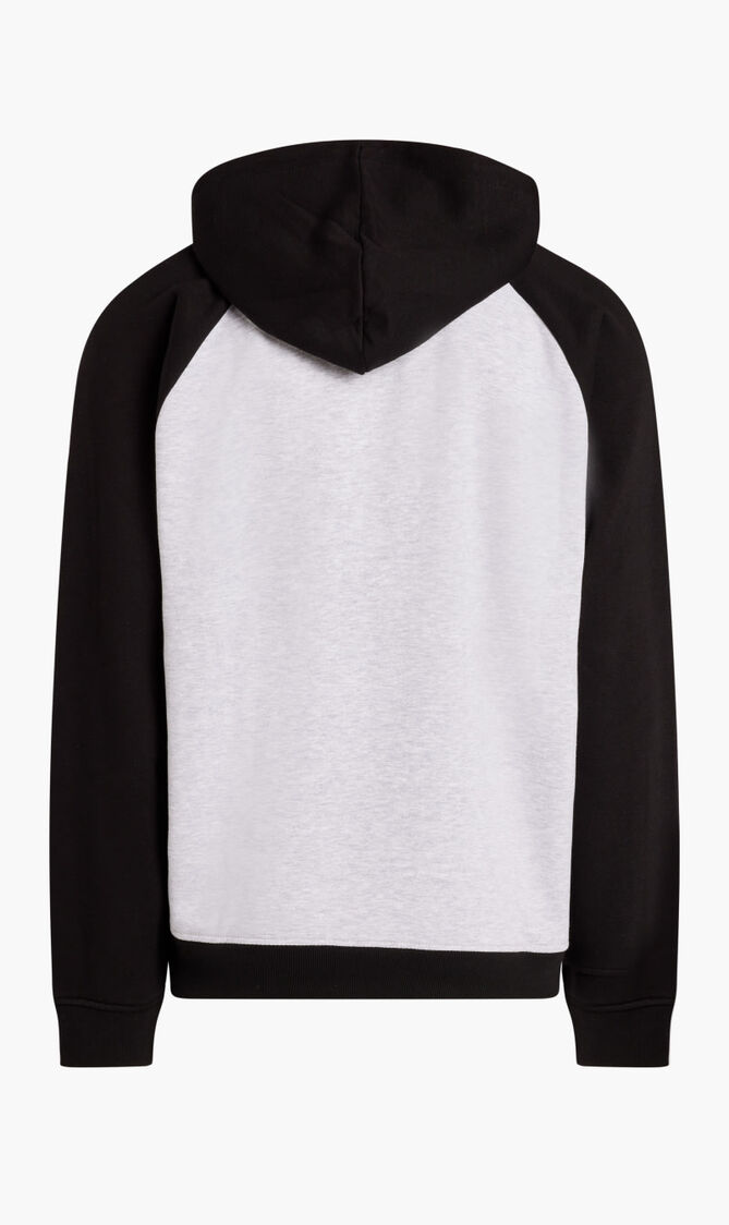 EMBRY GRAPHICLOGO RAGLAN HOODIE