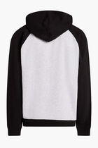EMBRY GRAPHICLOGO RAGLAN HOODIE