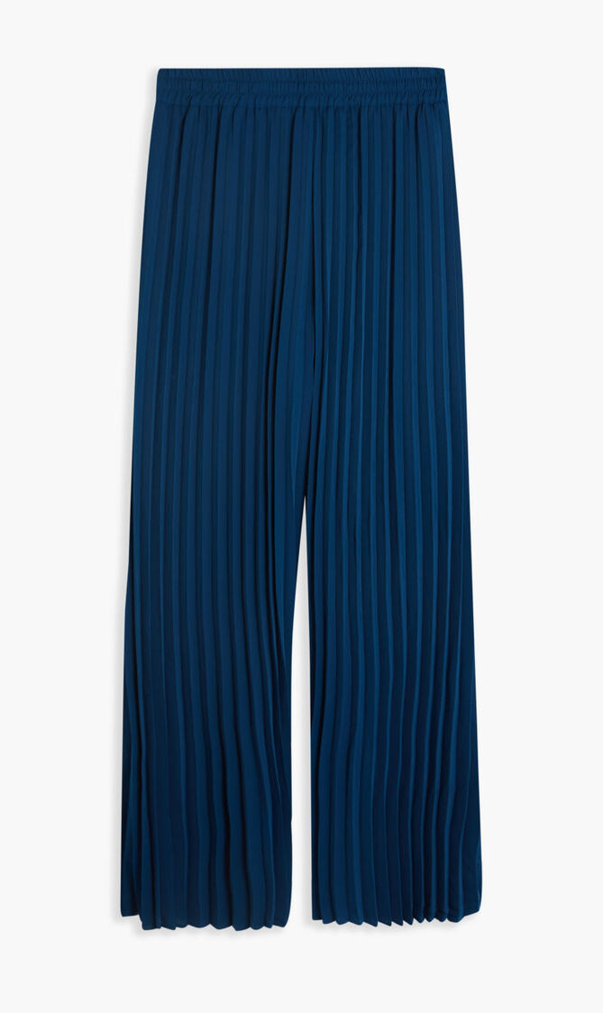 Pleated Pants