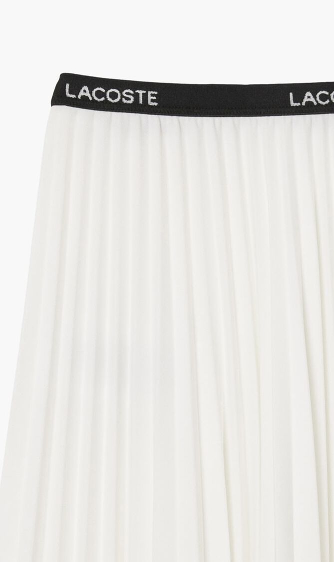 Long Pleated Elasticated Waist Skirt