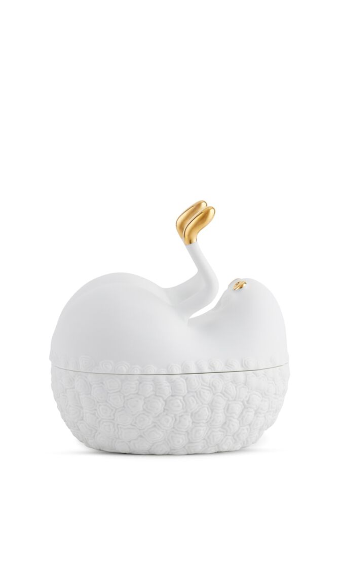 LOB HAAS BUTTS UP BOX - WHITE