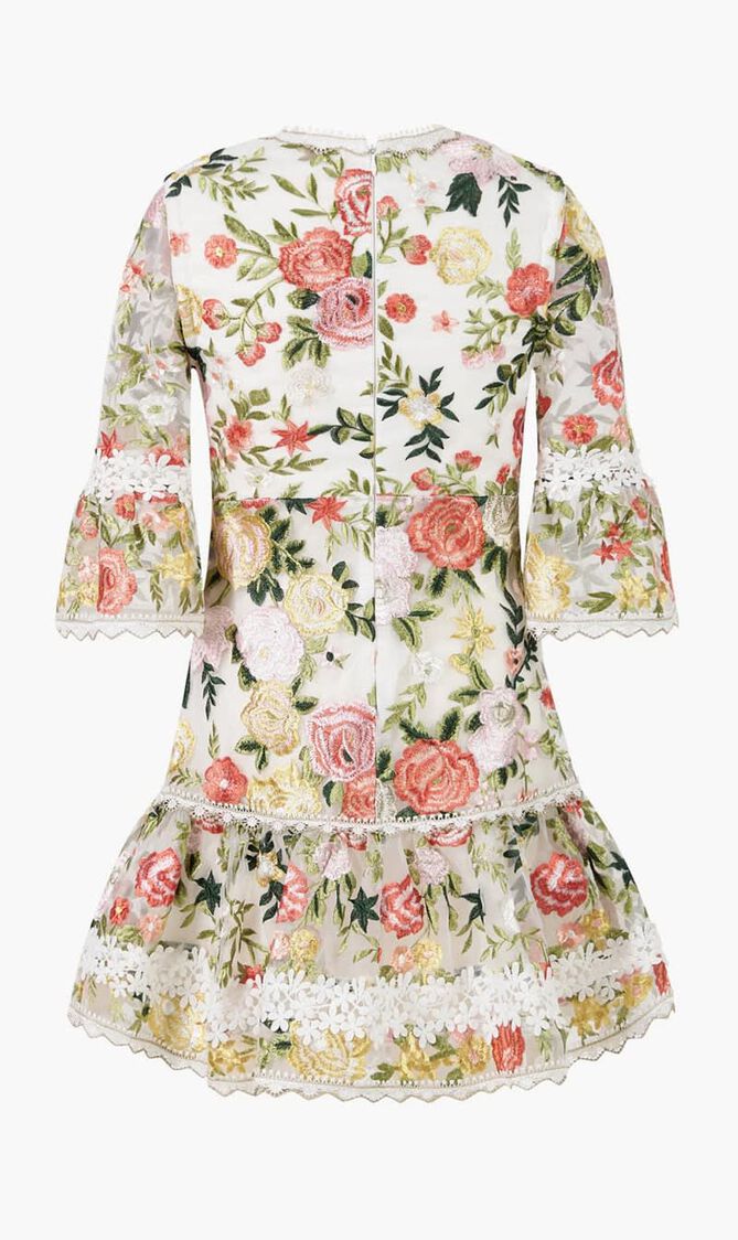 Allure Embroidered Sleeve Mini Dress