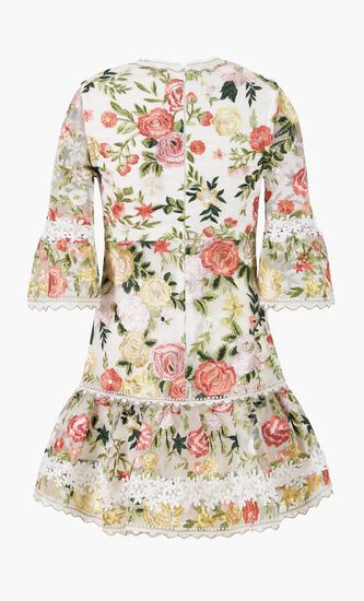 Allure Embroidered Sleeve Mini Dress