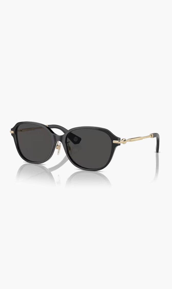 Full Rim Sunglasses