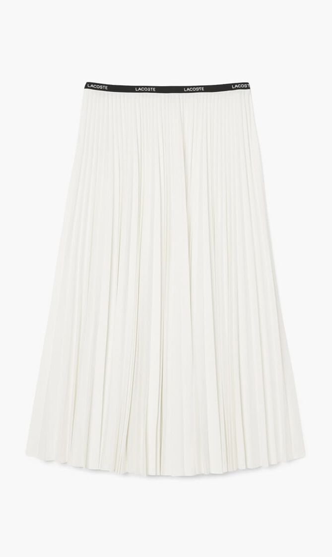 Long Pleated Elasticated Waist Skirt
