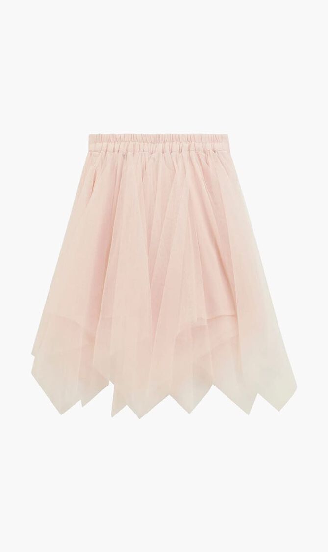Mesh Mini Skirt