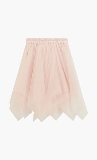 Mesh Mini Skirt