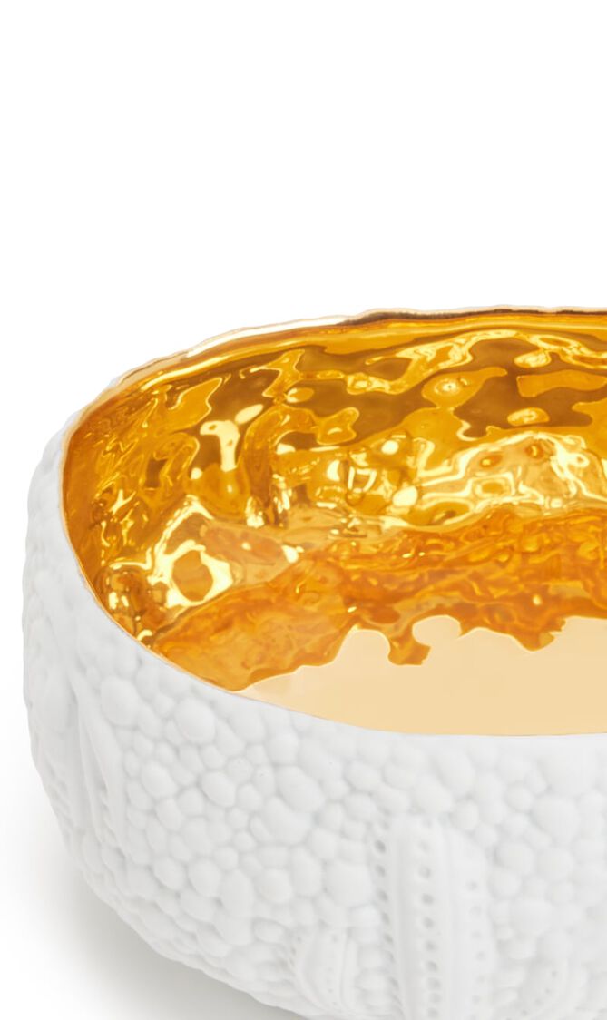 LOB HAAS MOJAVE DESSERT WHITE+GOLD