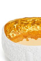 LOB HAAS MOJAVE DESSERT WHITE+GOLD