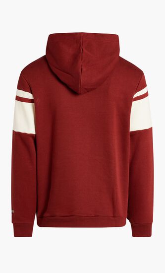 URSIN LOGO HOODY