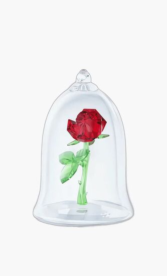 Enchanted Rose