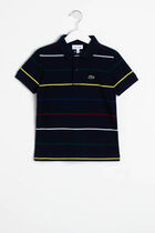 Coloured Pinstripes Polo Shirt