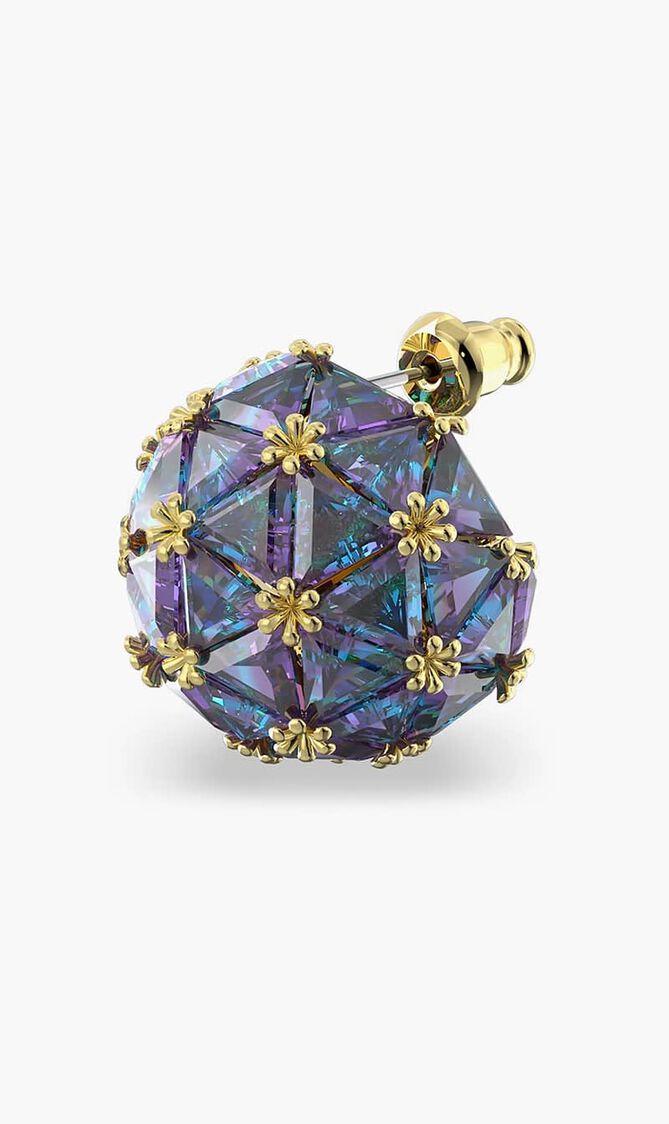 SJC RE CURIOSA MEP S PURAQ/GOS