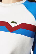 Colorblock Organic Sweatshirt