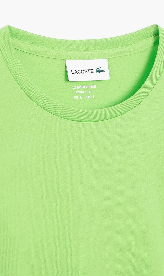 ?????? ??????? ???? ????