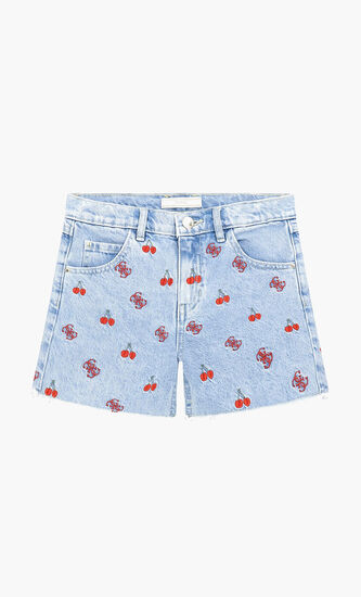 Embroidery Denim Shorts