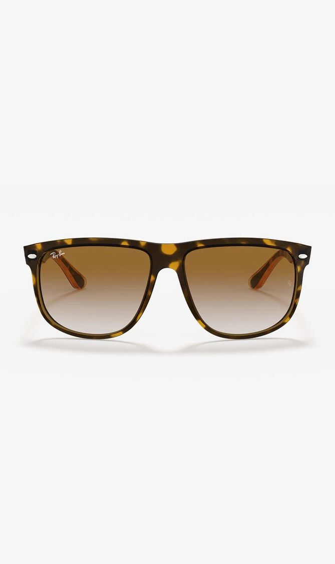 SUNGLASSES WITH CASE-PT