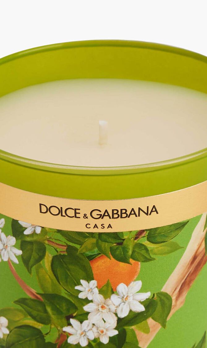 DGA INSTITUTIONAL CANDLE