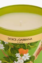 DGA INSTITUTIONAL CANDLE