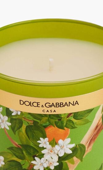 DGA INSTITUTIONAL CANDLE