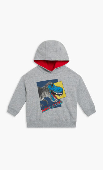 HOODED SWEATSHIRT