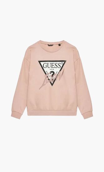 CN ICON SWEATSHIRT