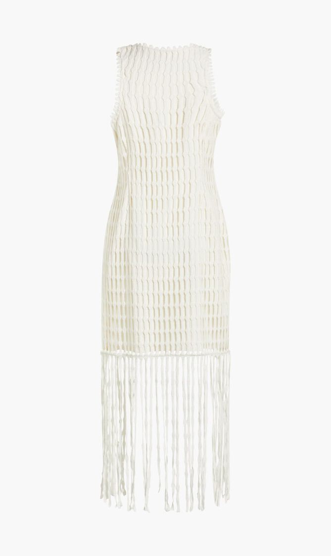 JANETTE COTTON MESH MIDI DRESS