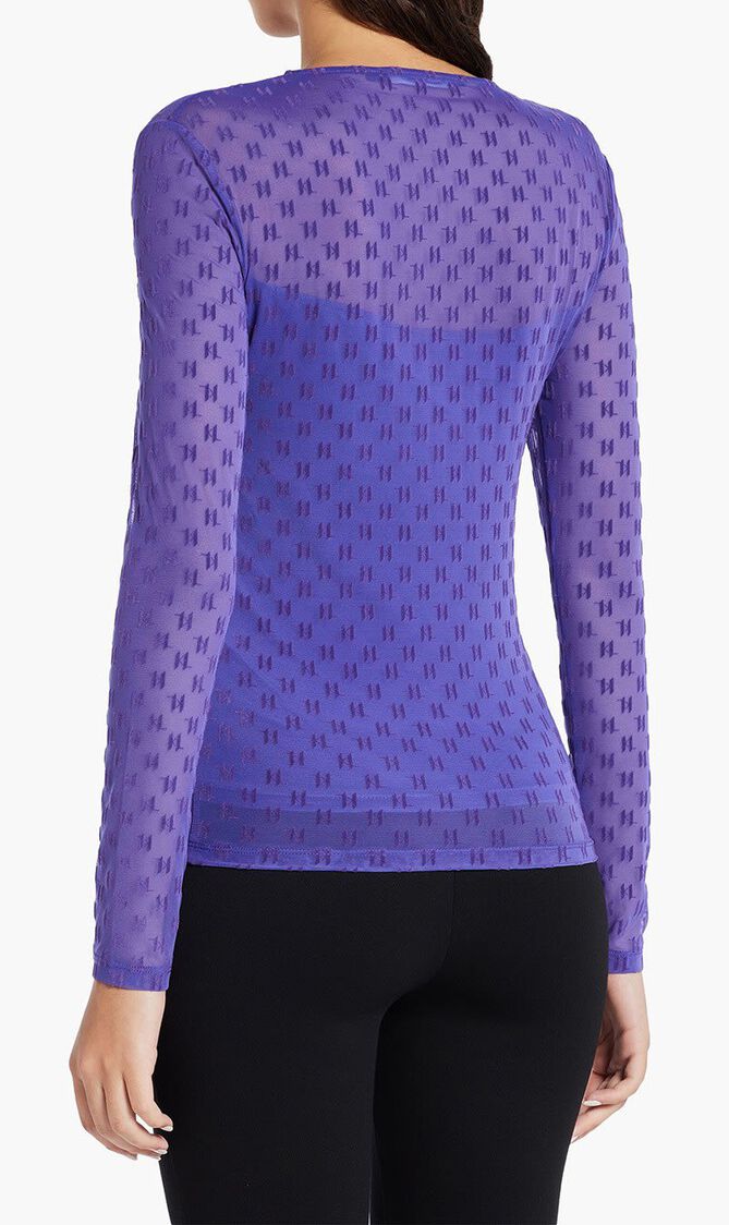 Mesh Long Sleeve Top