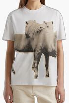 Graphic Print Half Sleeve T-Shirt