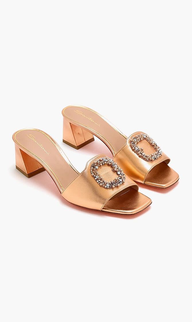 RANYA 50 N DXMP15