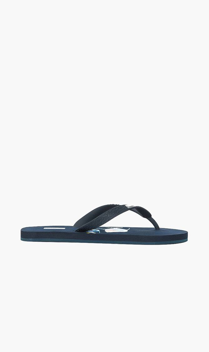 Fish Printed Slides