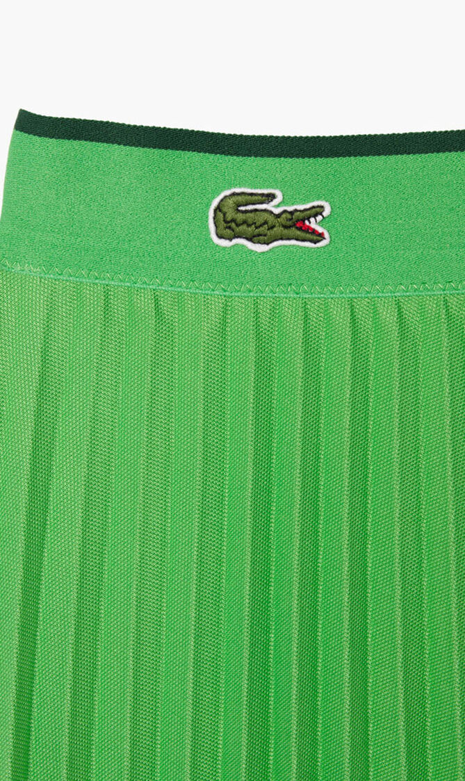 Short Pleated Elastic Waist Skirt