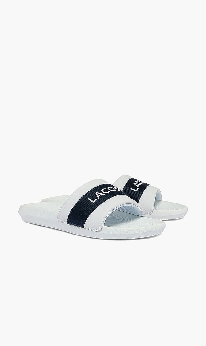 Synthetic Logo Slides