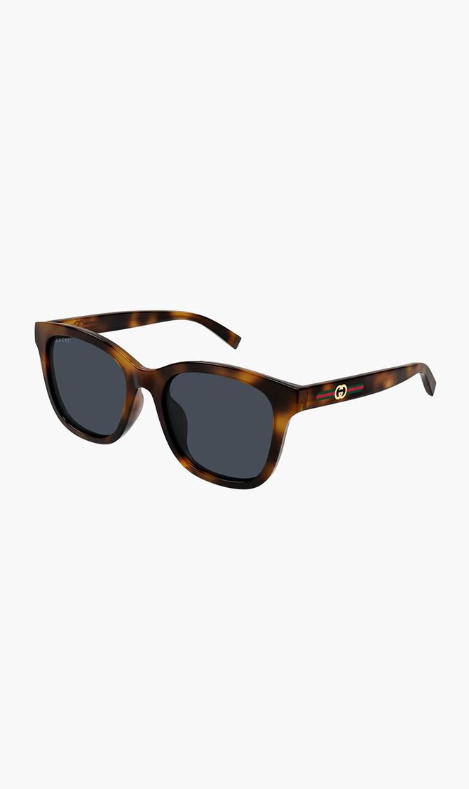 Havana Sunglasses