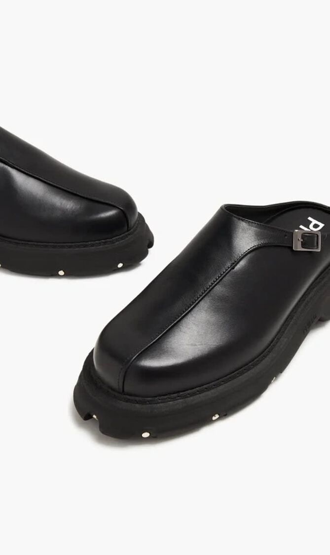 028  Agafay Mules 028  Agafay Mules