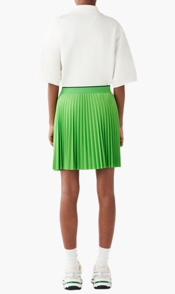 Short Pleated Elastic Waist Skirt
