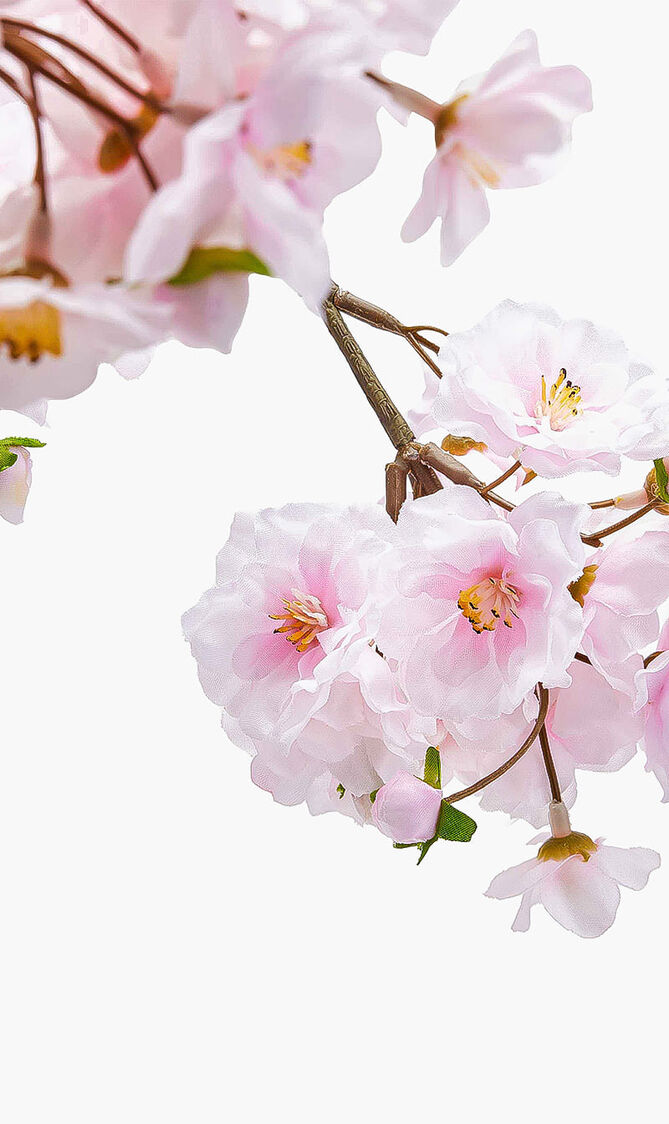 Cherry Blossom Spray