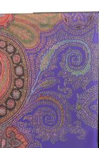 Voyage Au Rajasthan Placemat 2 Pc Set