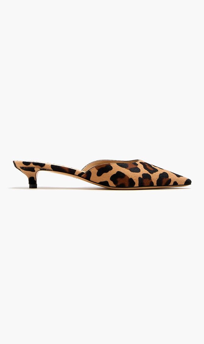 POINTED SABOT