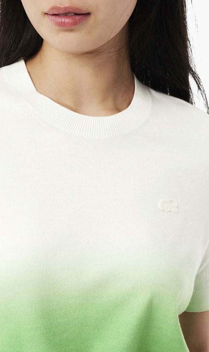 Short Sleeved Ombre Effect Sweater