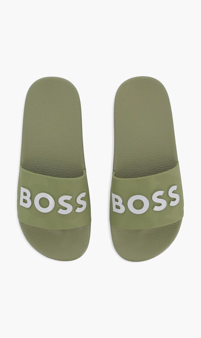 Logo Slides