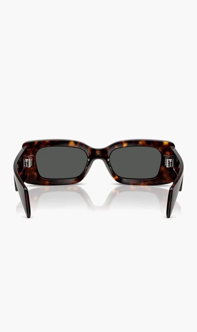 Havana Sunglasses